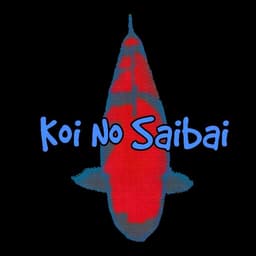 Koi No Saibai