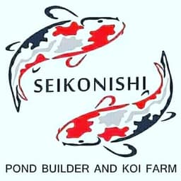 Koi's dave