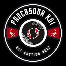 Pancasona Koi