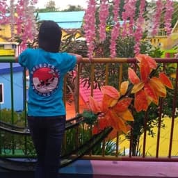 GALERY Koi Blitar