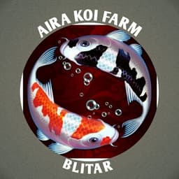 aira koi