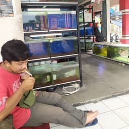 Penjes Koi Blitar 