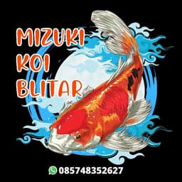 Mizuki Koi Blitar