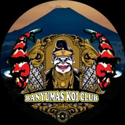 Omen Prabu Koi