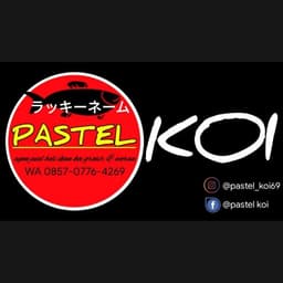 Pastel koi blitar 