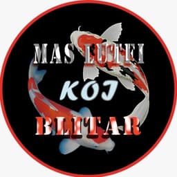 MasLutfiKoi