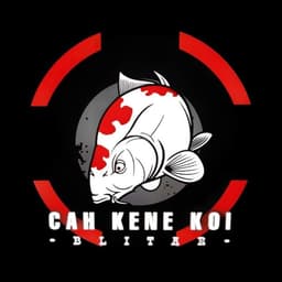 jaya koi