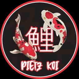 pietz koi