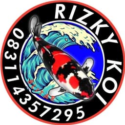 Risky koi Blitar