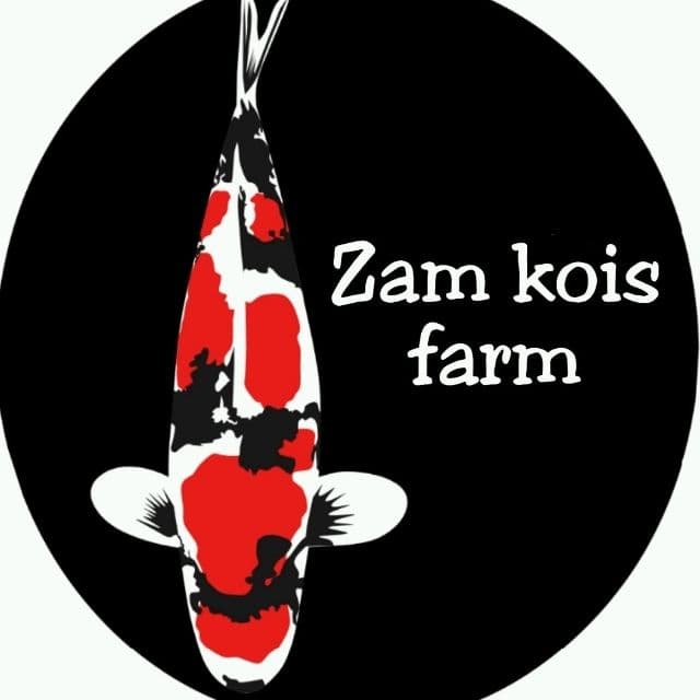Foto profil ZAM KOIS GROUP
