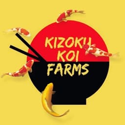 kizoku koi farm