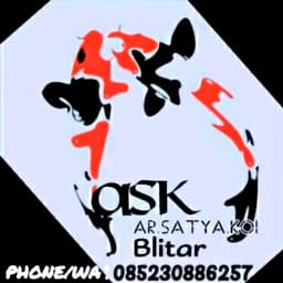 Arsatya Koi Blitar