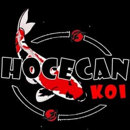 Hocecan Koi