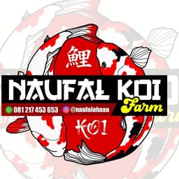 Naufal koi blt