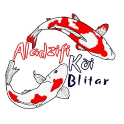 Aladzifi Koi
