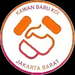 Kawan Baru Koi