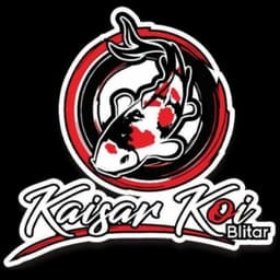 KAISAR KOI CS 4
