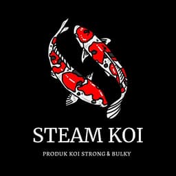 STEAM KOI
