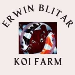 Erwin Blitar
