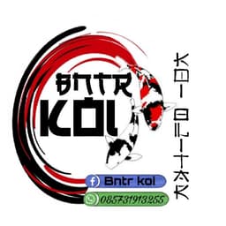 BNTR KOI