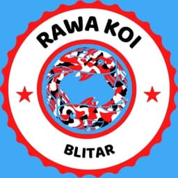 Rawa Koi
