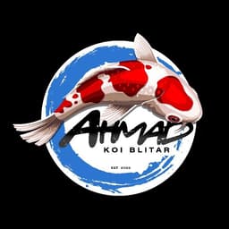 ahmad_koi