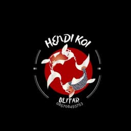 Hendi Koi