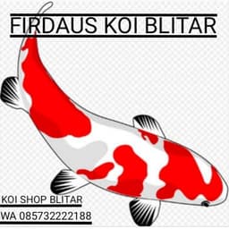FIRDAUS KOI