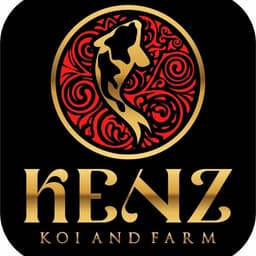 kenz koi blitar