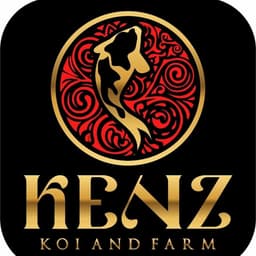 kenz koi blitar