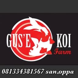 gus'e koi farm 