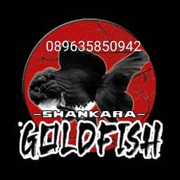 shankara