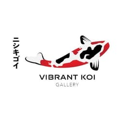 Vibrant Koi Gallery