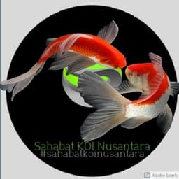 Sahabat koi Nusantar