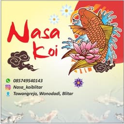 Nasa koi