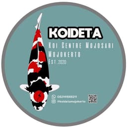 KOIDETA