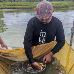 lutfi koi blitar