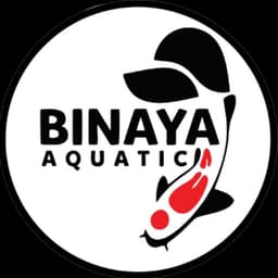 Binaya Aquatic