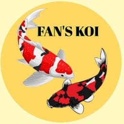 fans koi