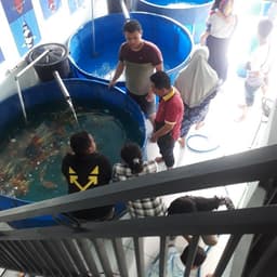 Nyanyo koi center