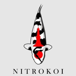 NITRO KOI YOGYAKARTA