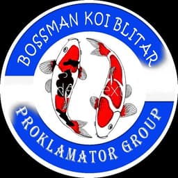 Bossman_koi