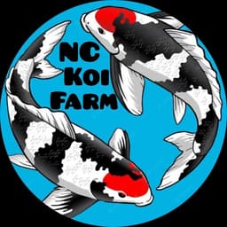 NC koi farm