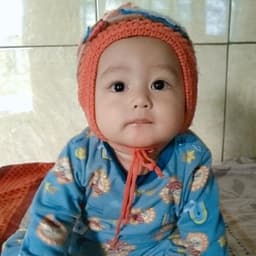 barokah koi