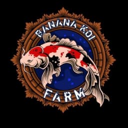 banana koi farm