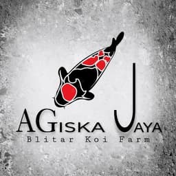 AGiska Jaya koi