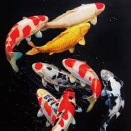 Dokuritsu