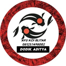 Dodik Aditya