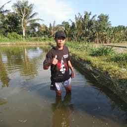 Dewa koi