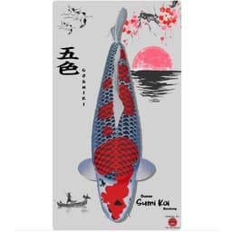 Sumi Koi Bandung
